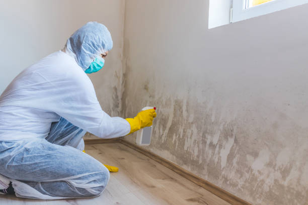 Hvac And Air Duct Mold Remediation inspection of HVAC system in Bedford