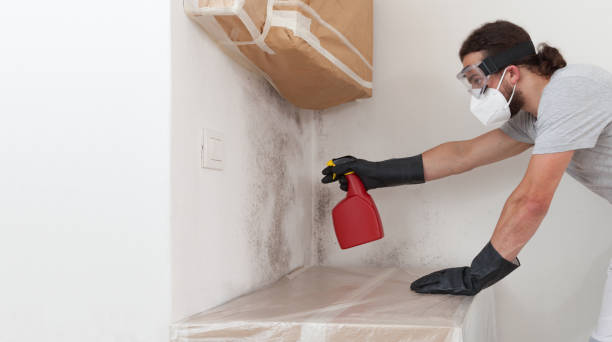 Attic Mold Remediation treatment on roof deck in Bedford